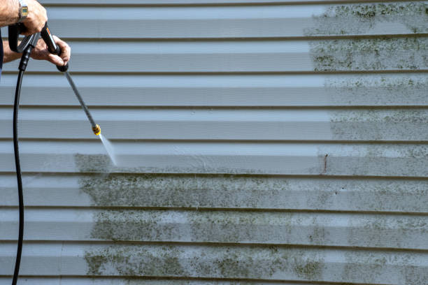 Reliable Zephyrhills North, FL Junk Removal Solutions